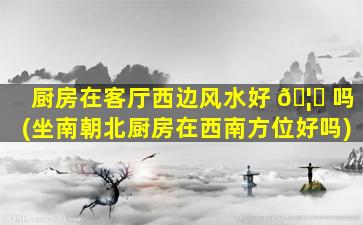 厨房在客厅西边风水好 🦊 吗(坐南朝北厨房在西南方位好吗)